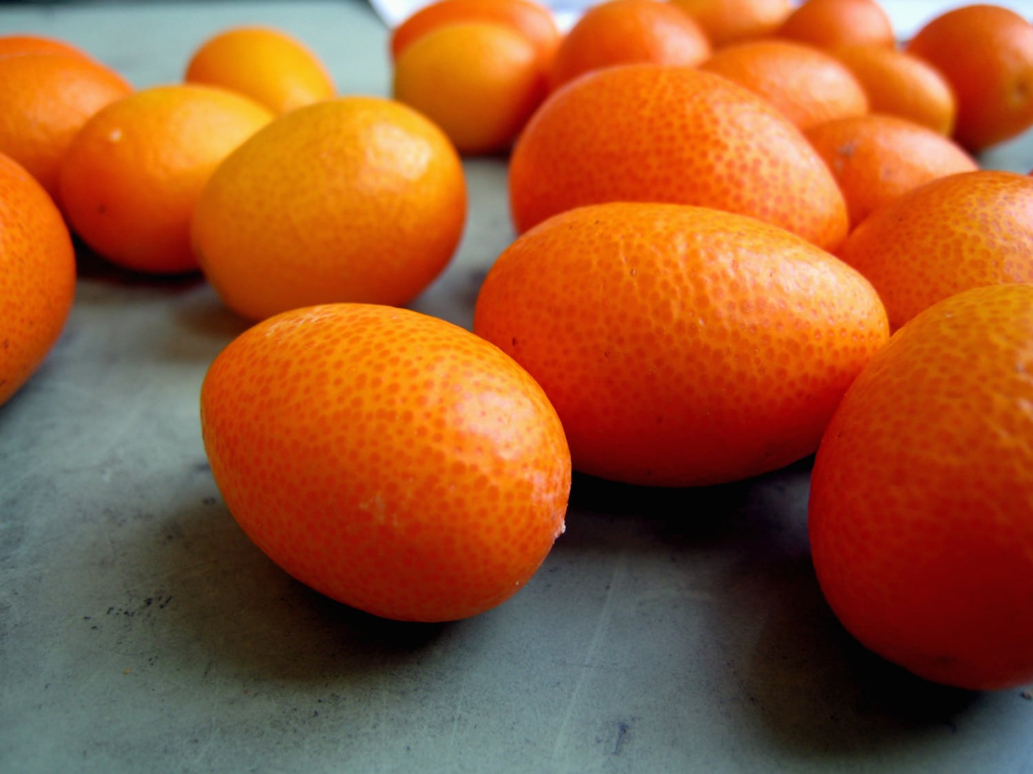 kumquats photo