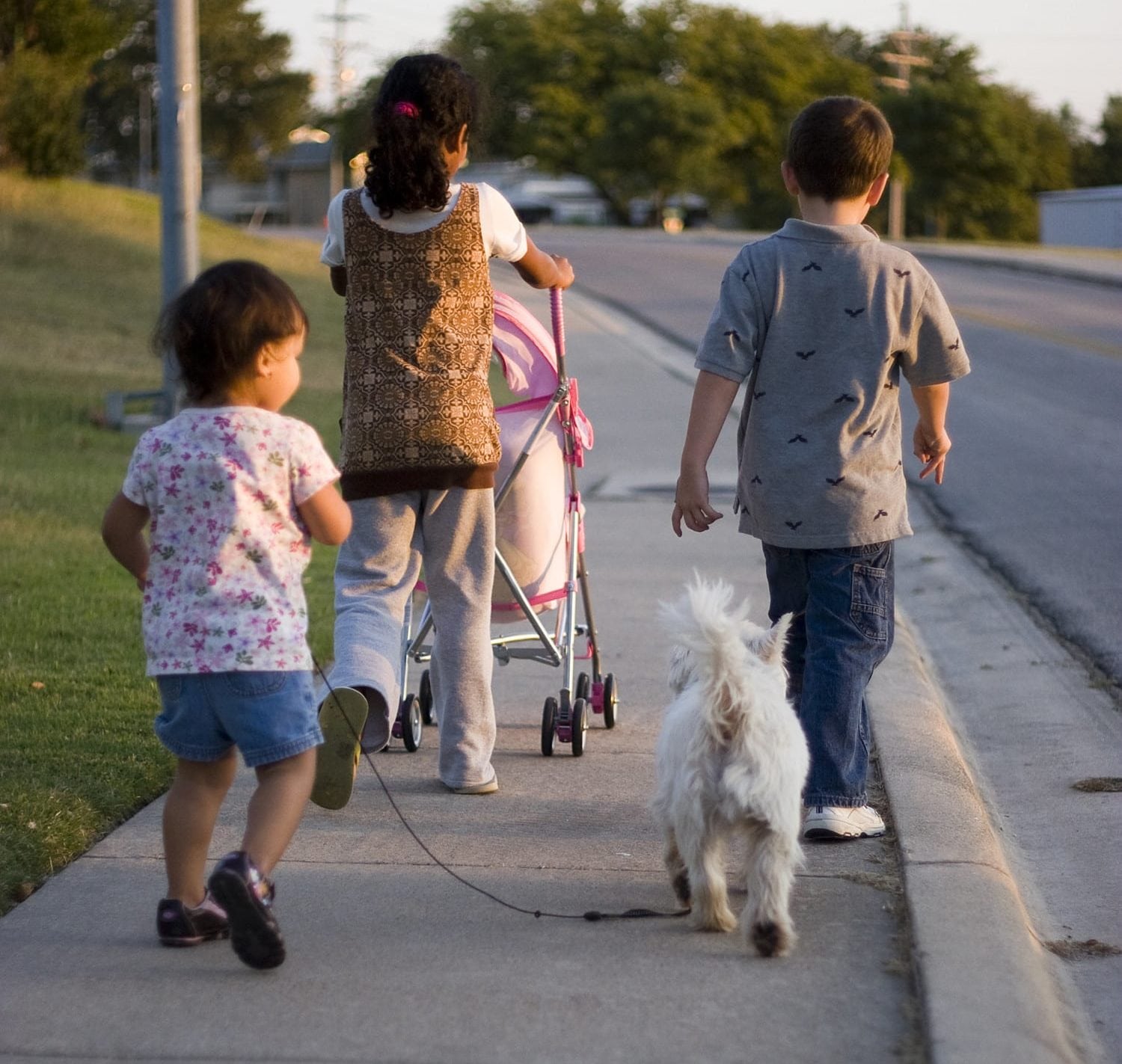 kids walking dog photo