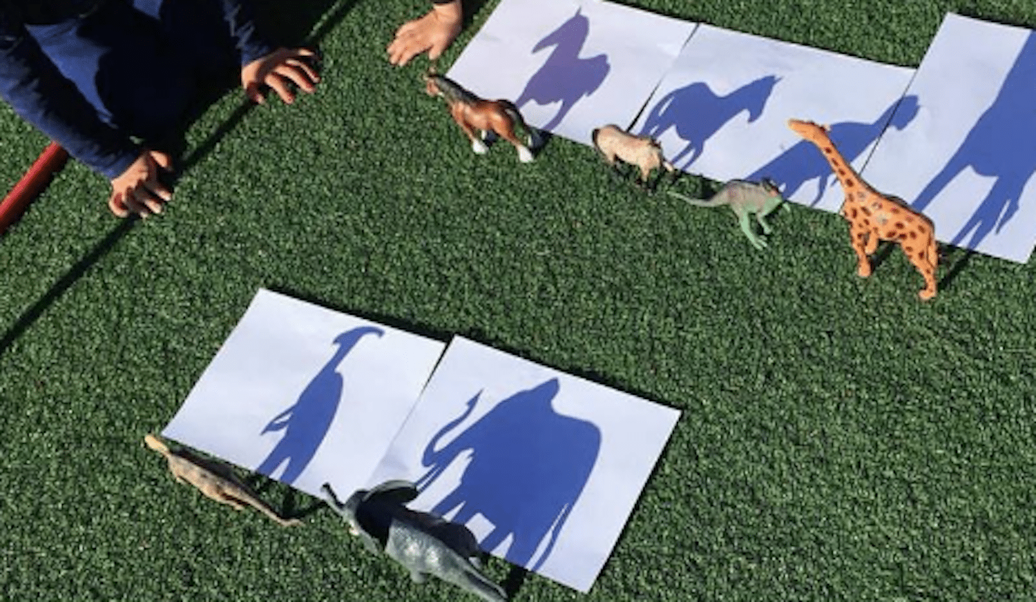 Try This Shadow Drawing Project With Your Kids - Simplemost