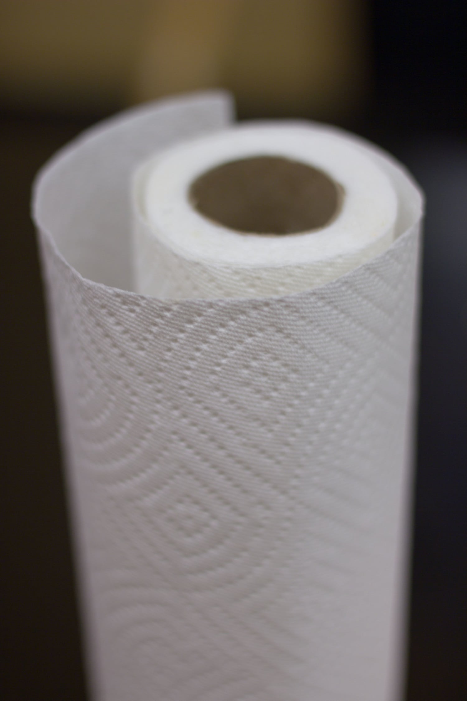 paper towel roll photo