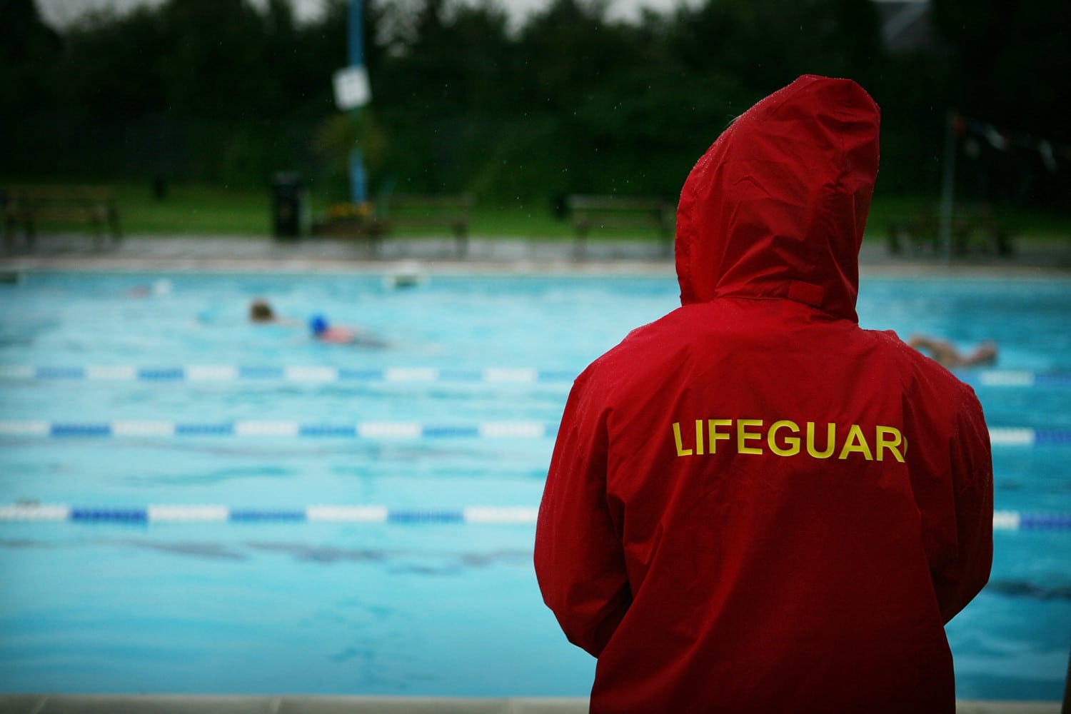 pool lifeguard photo