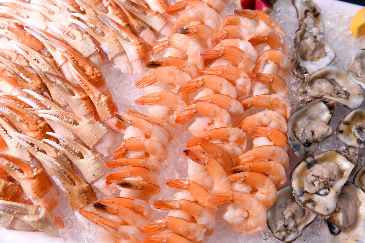 seafood photo
