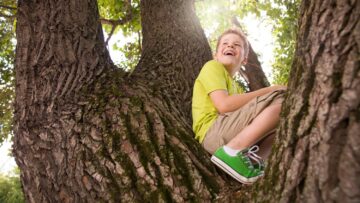 kid climbing in tree