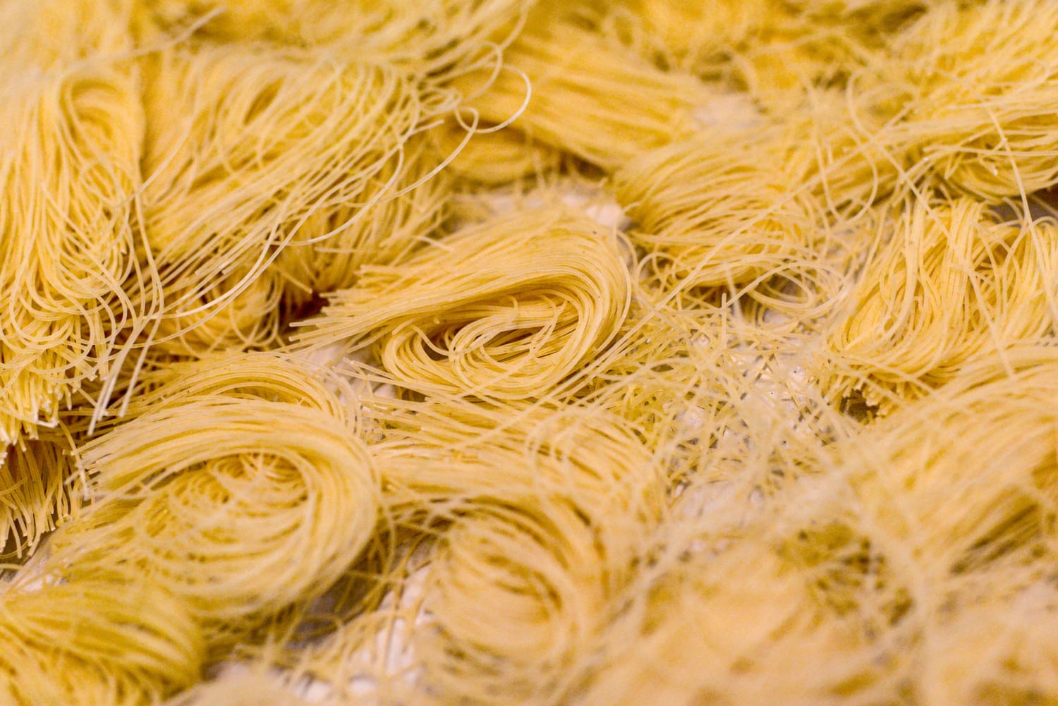pasta water photo