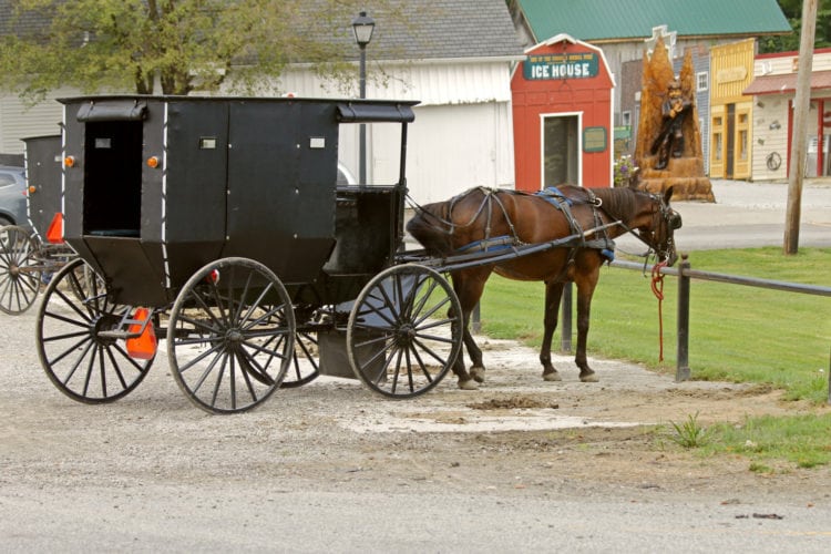 horse buggy ride