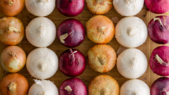 Different types of onions in rows