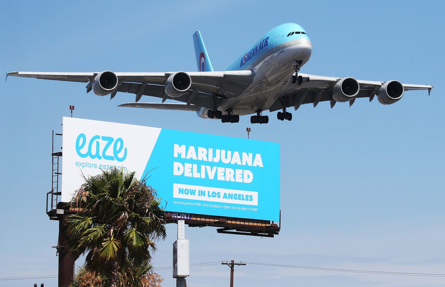 marijuana airport photo