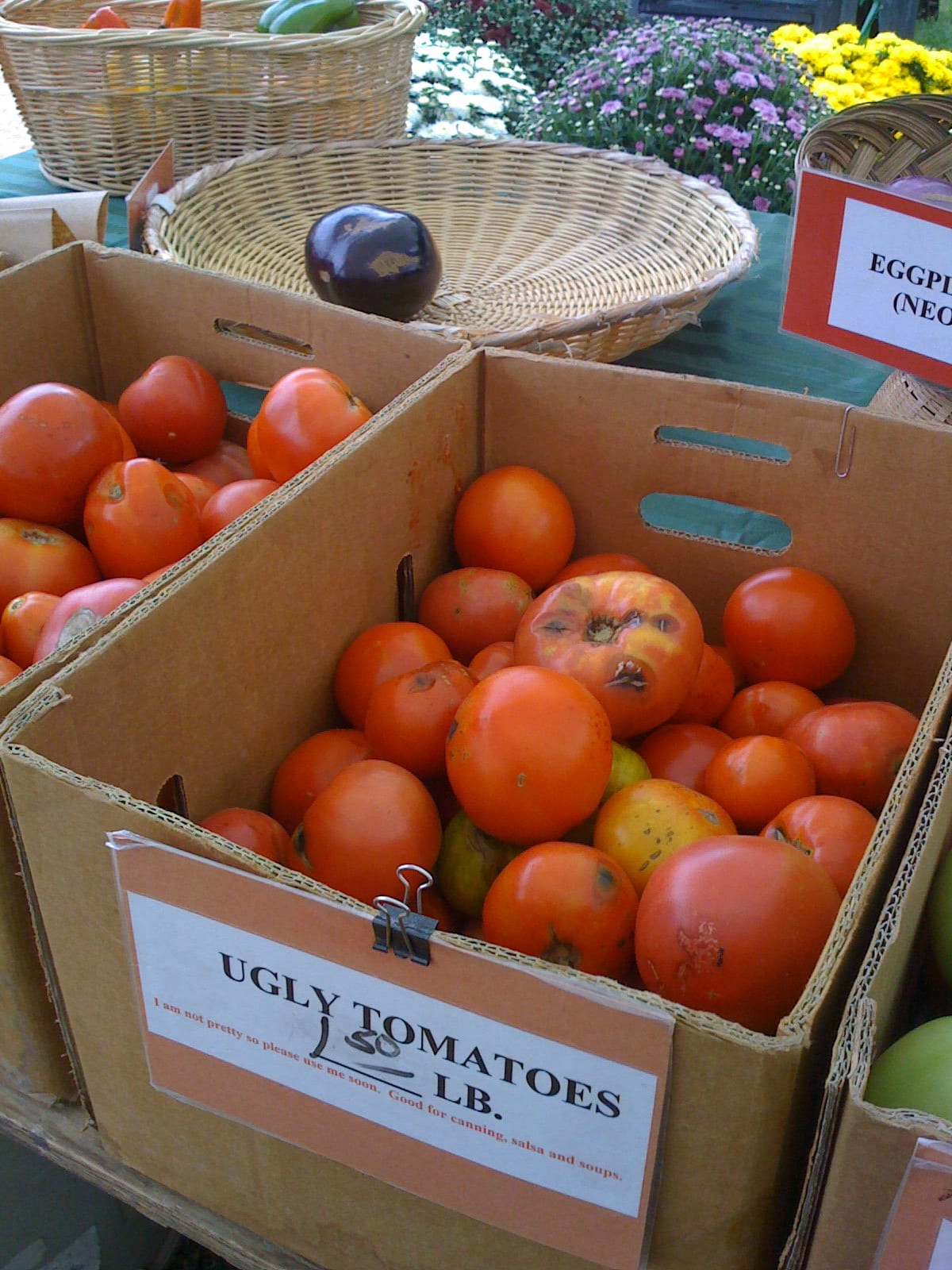 ugly tomato photo