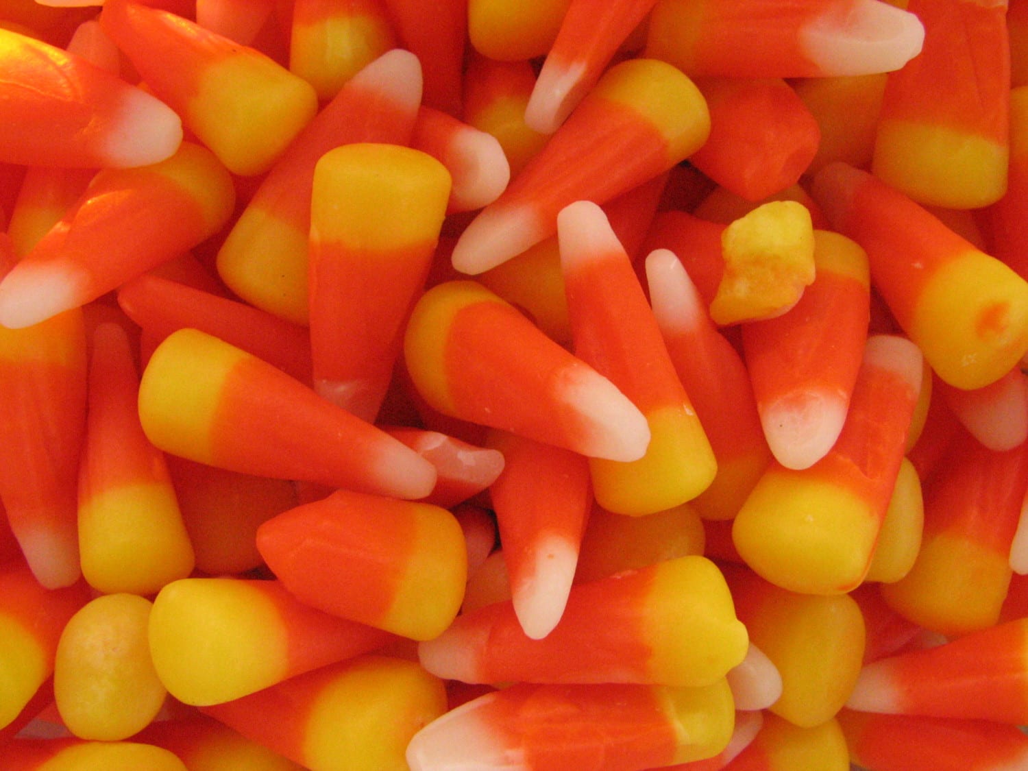 candy corn photo