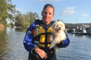 humane society dog rescue hurricane florence