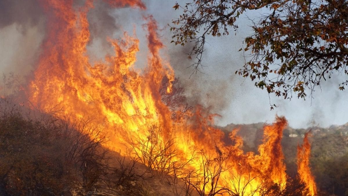 250,000 Evacuated In Southern California As Woolsey Fire Torches Over 80,000 Acres