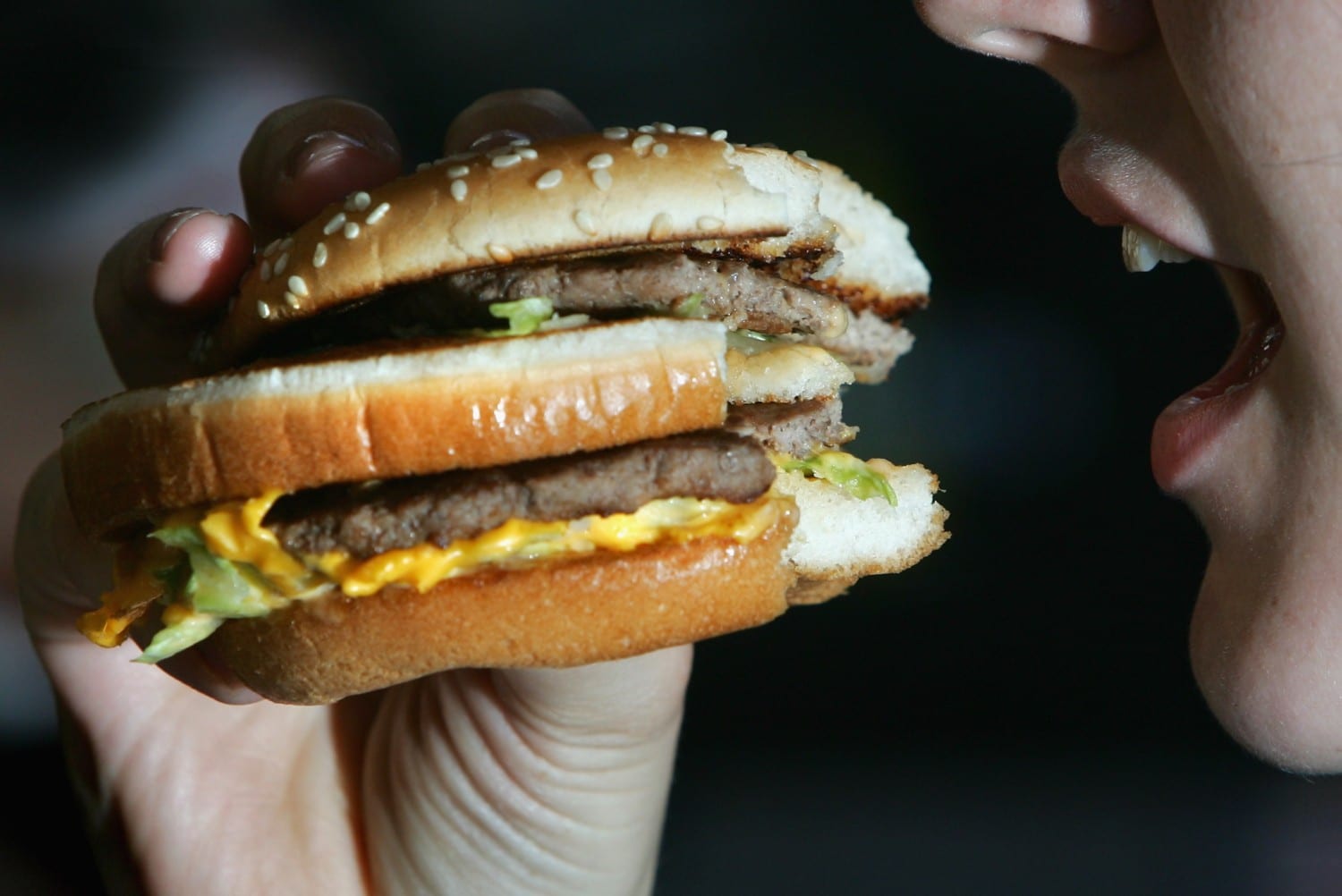 burger photo