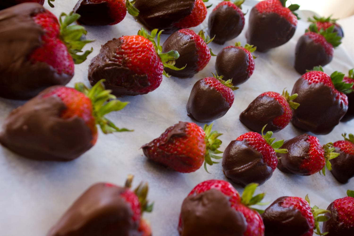 chocolate strawberry photo