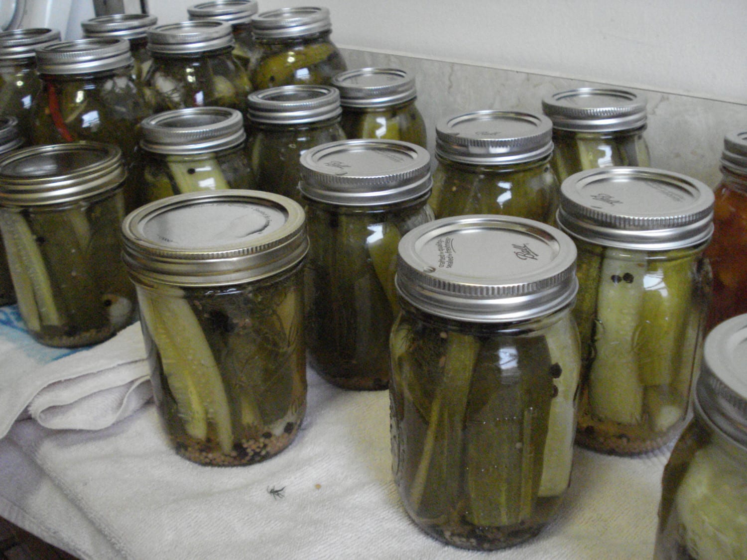 dill pickles jar photo