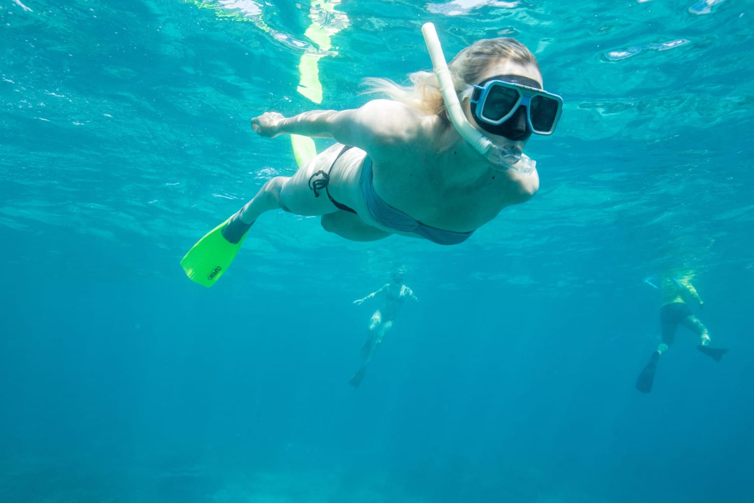 snorkeling photo