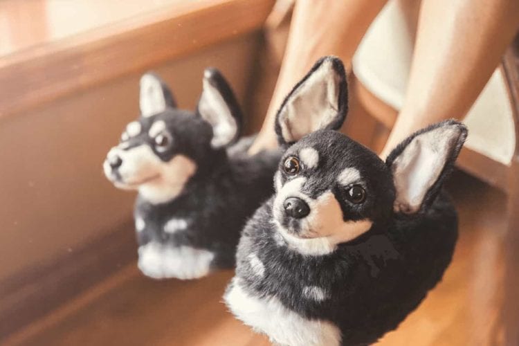 dog slippers for humans