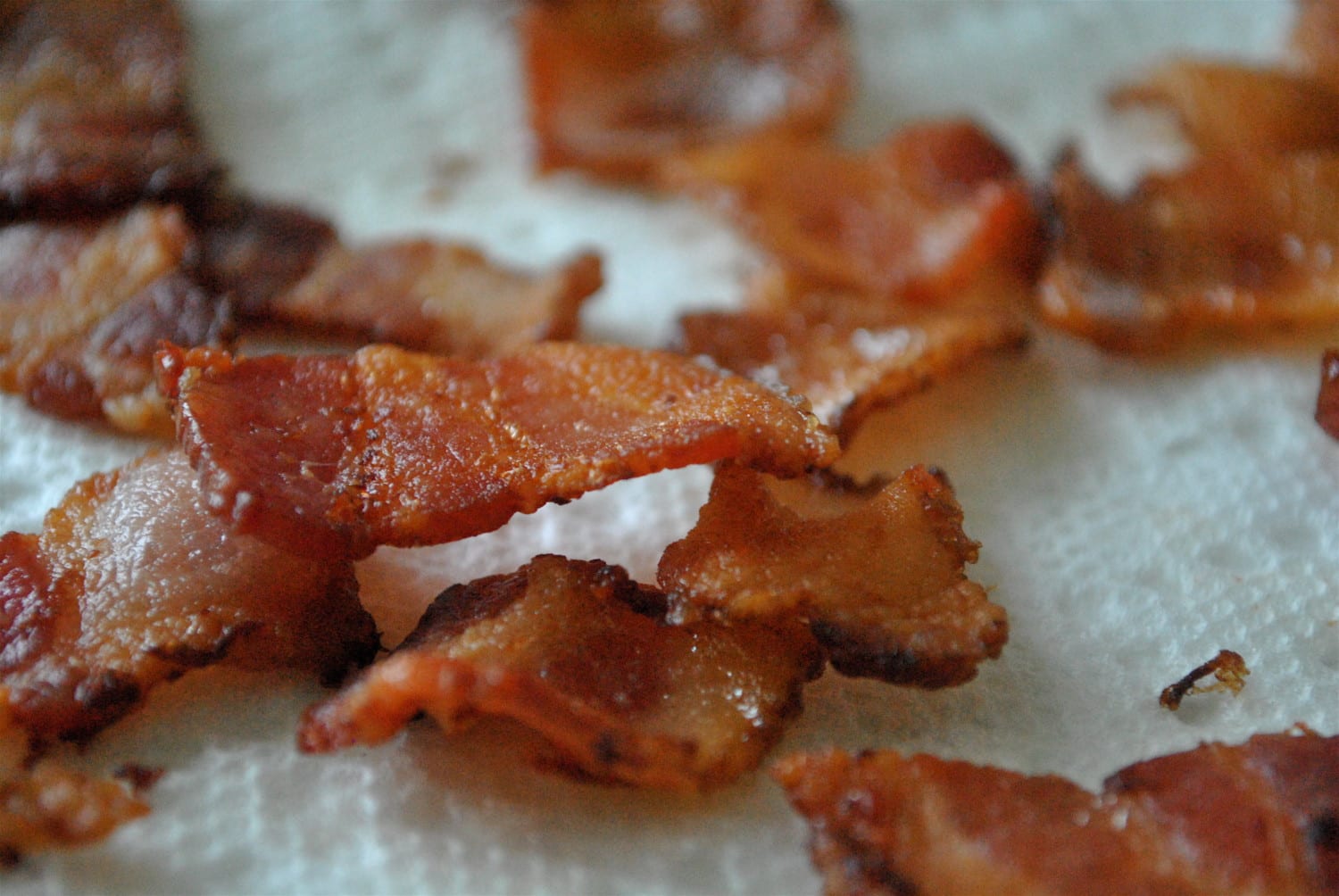 bacon photo