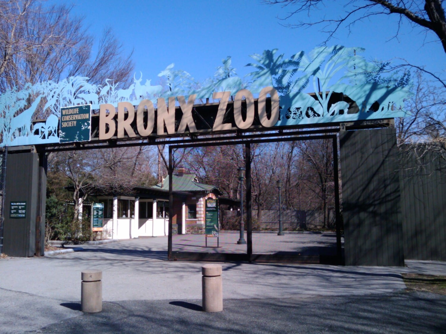Bronx Zoo photo