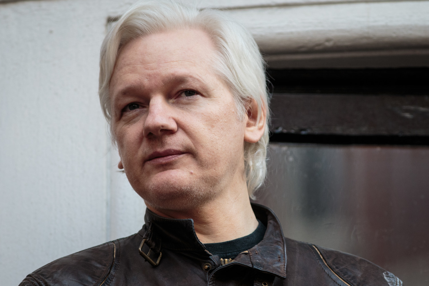 julian assange photo