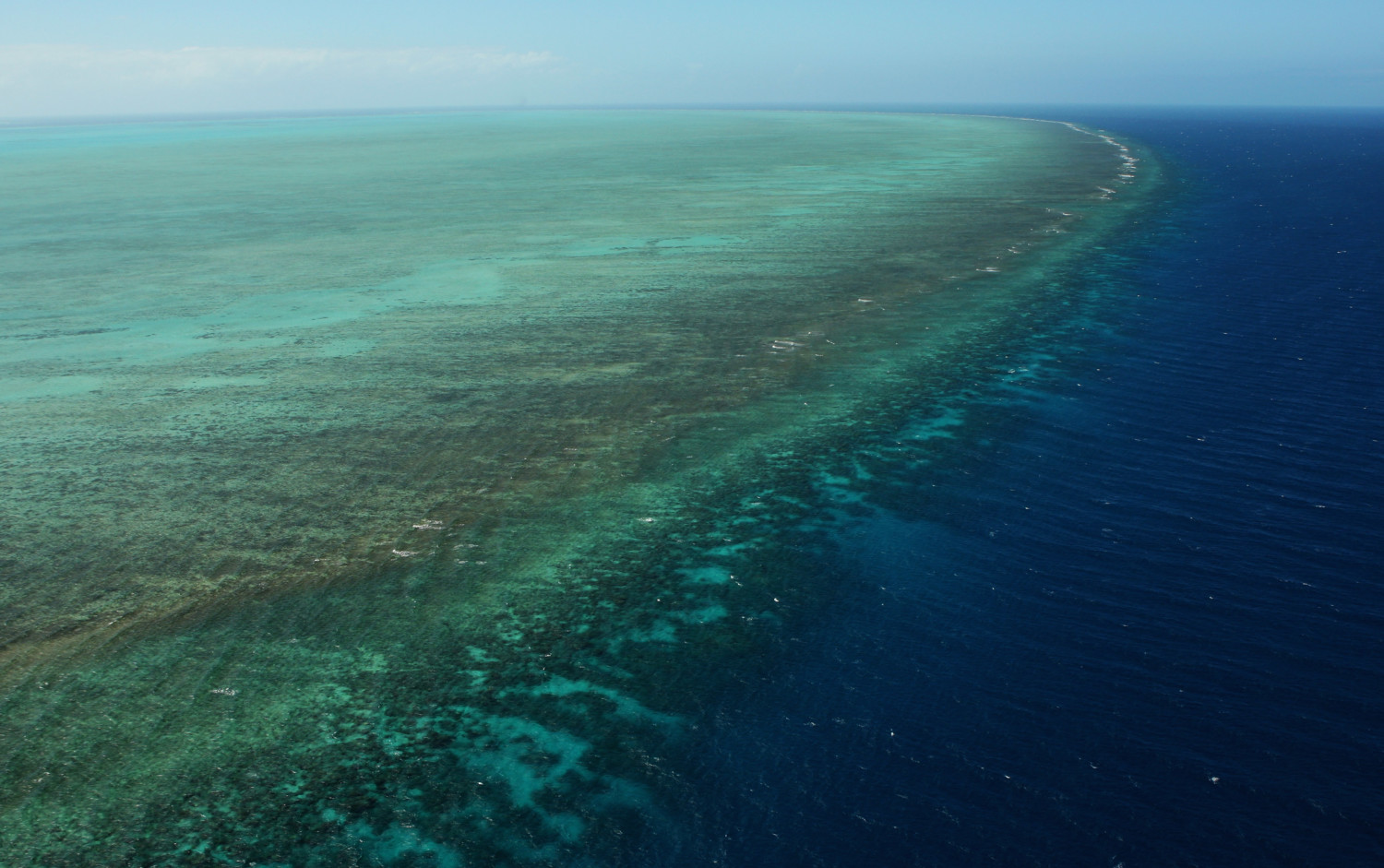 great barrier reef photo