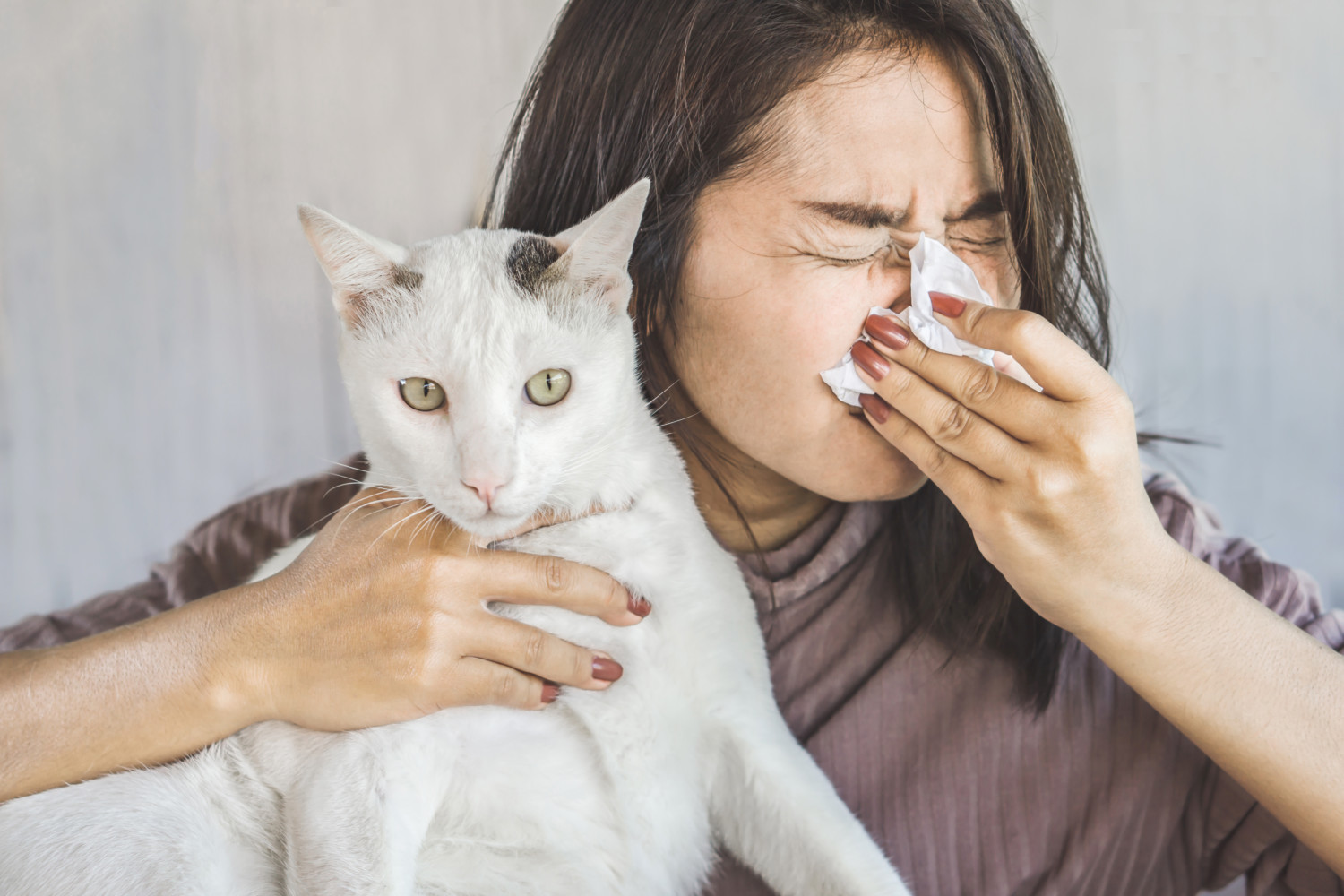 This New Vaccine Could Help Reduce Cat Allergies