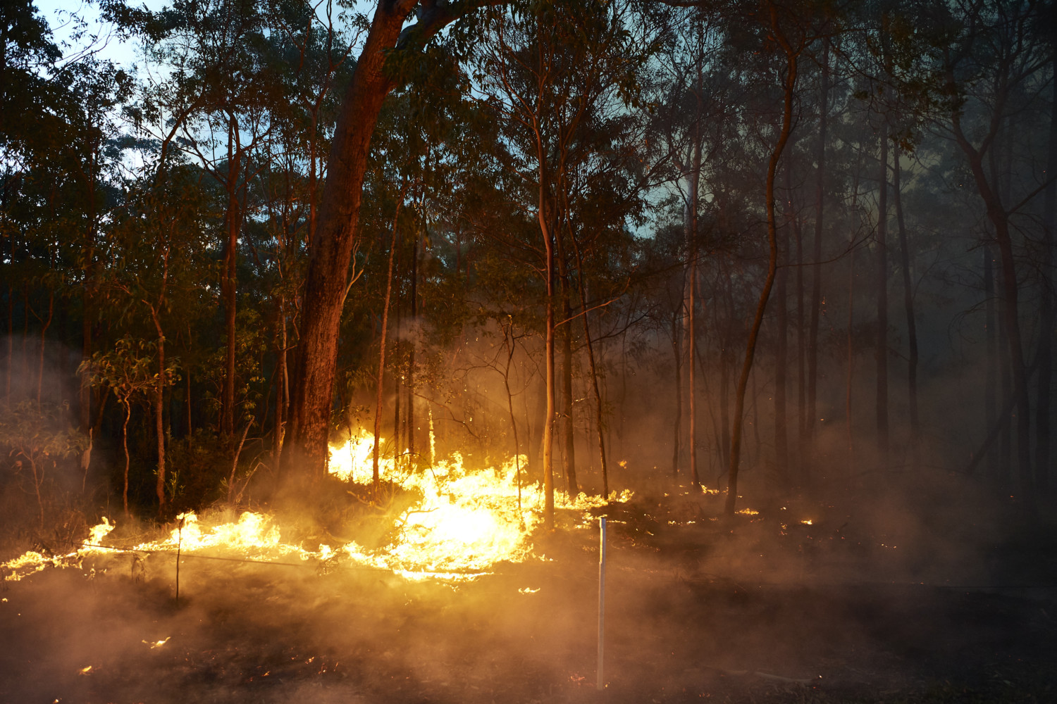 Emergency Warning Issued For Hawkesbury As Bushfire Nears Sydney Outskirts