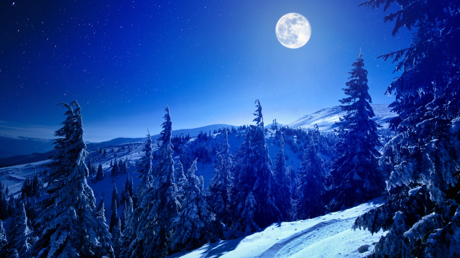 Full cold moon shining brightly during wintertime