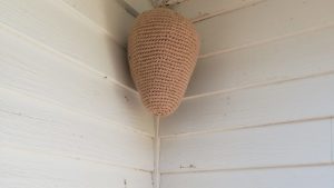 Crochet hornets' nest