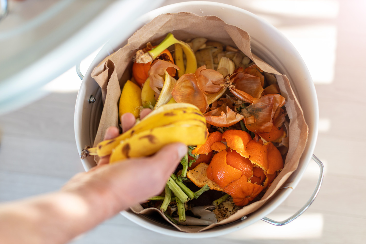 Talking trash: an ultimate guide to composting for beginners looking to help the planet