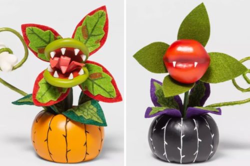 Target Is Selling Spooky Halloween-Themed Succulent Planters