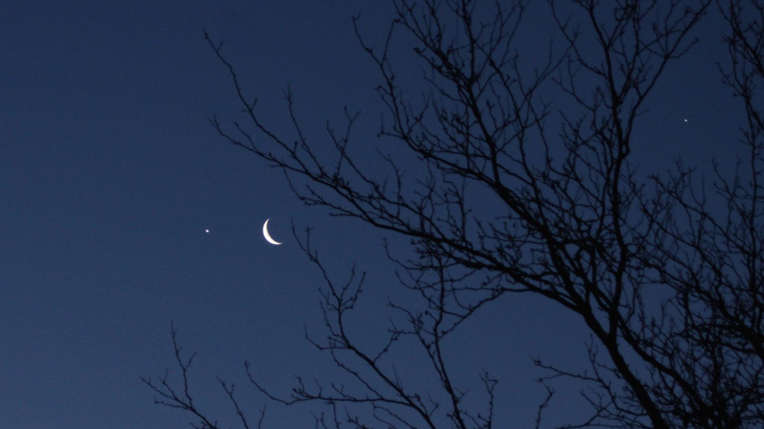 Venus, the waning crescent moon, and Jupiter appear together in the night sky.