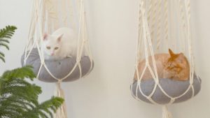 Cats lay in macrame hammocks