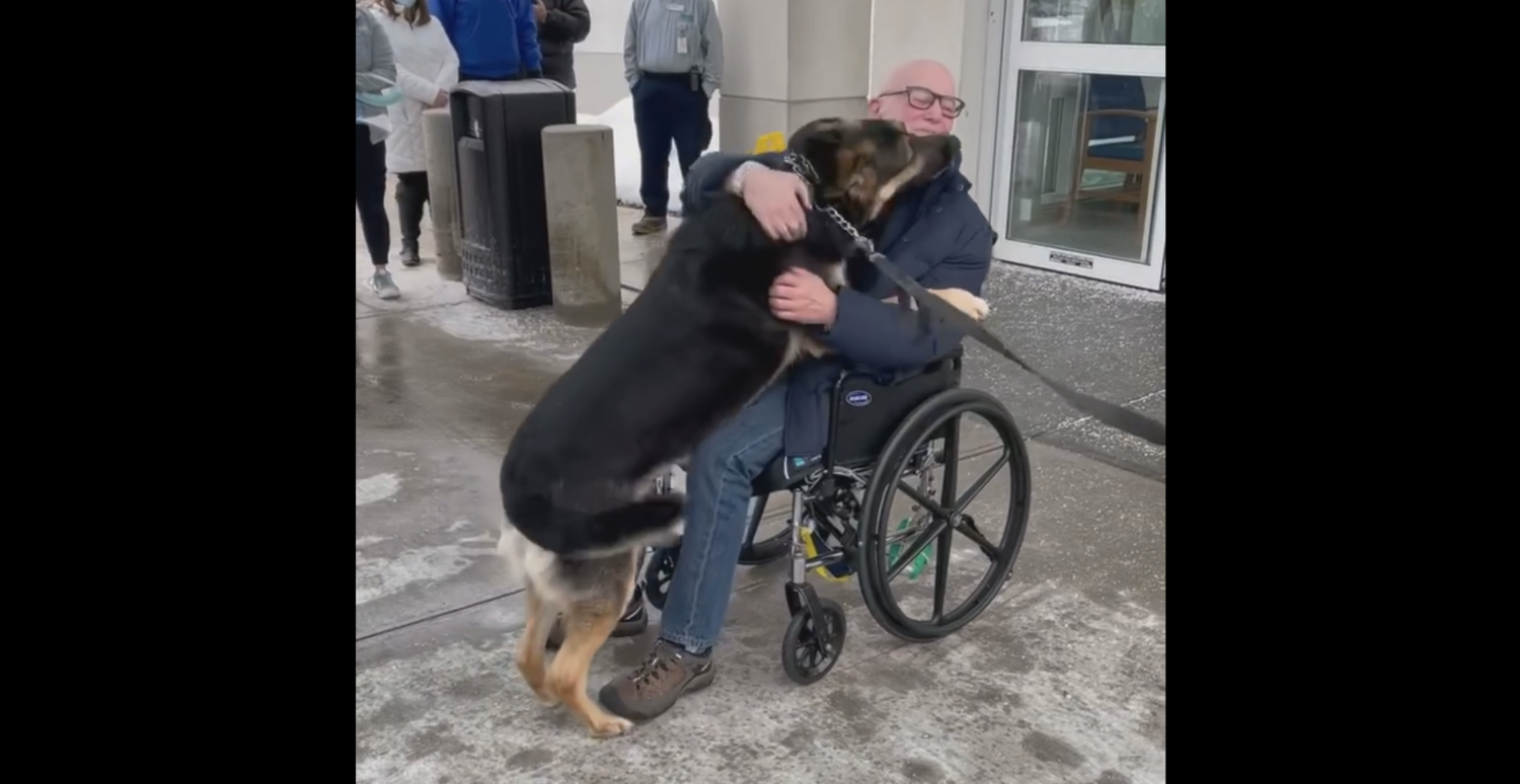 Man Reunited With Rescue Canine That Saved His Life