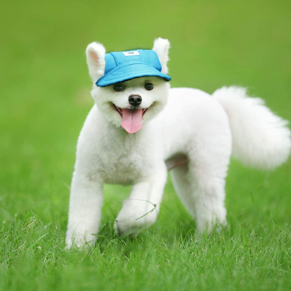Happy Hours Dog Hat Pet Baseball Cap
