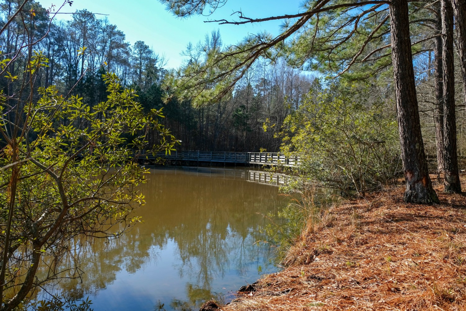 Apex North Carolina Crowder County Park
