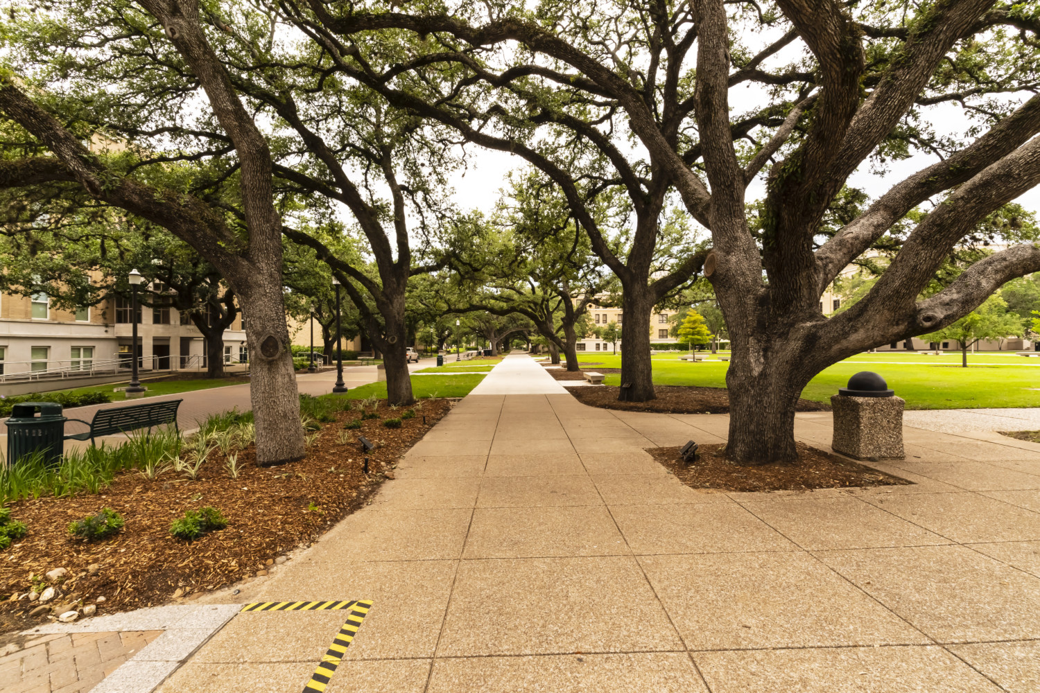 Texas A and M campus College Station