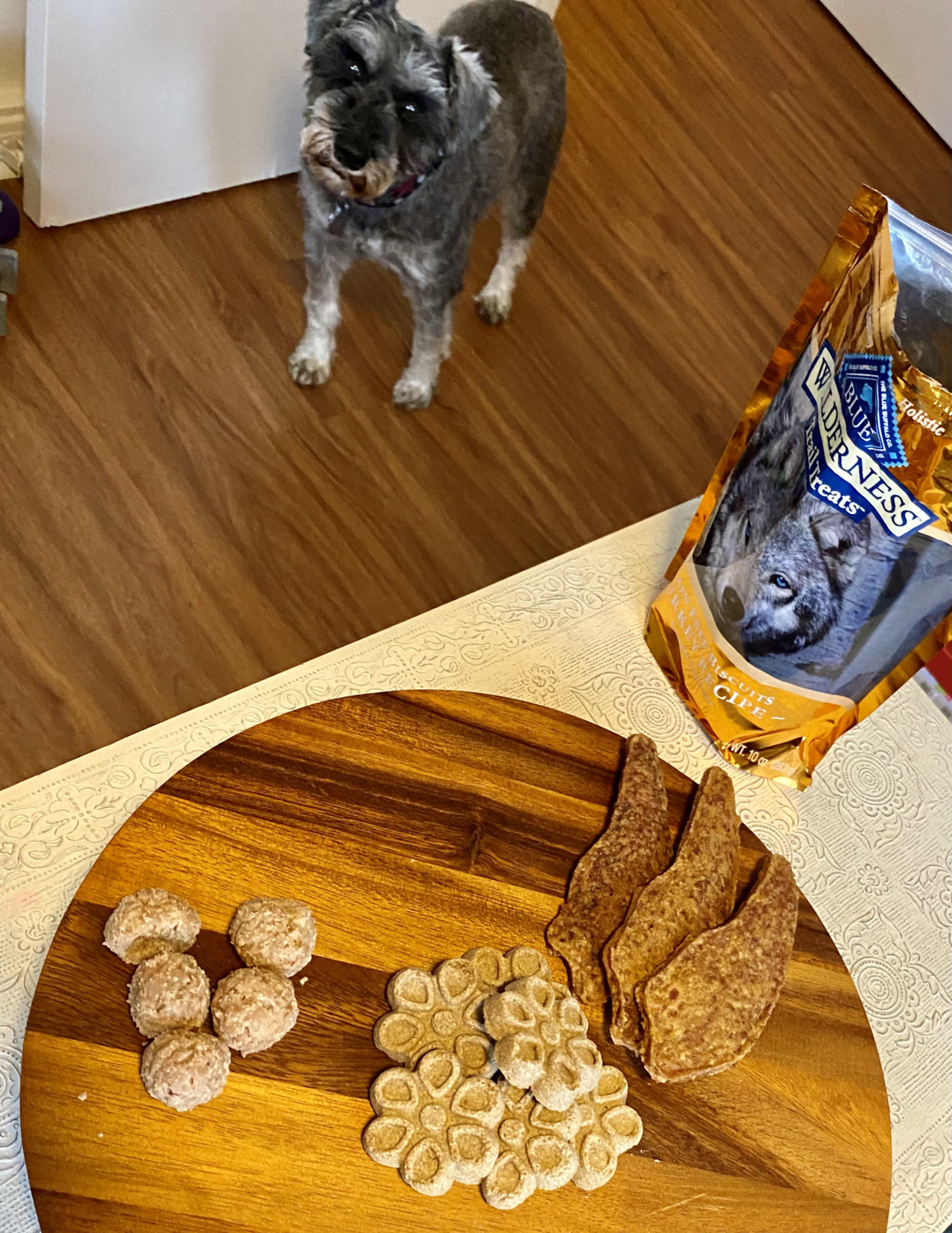 treat tray for dogs