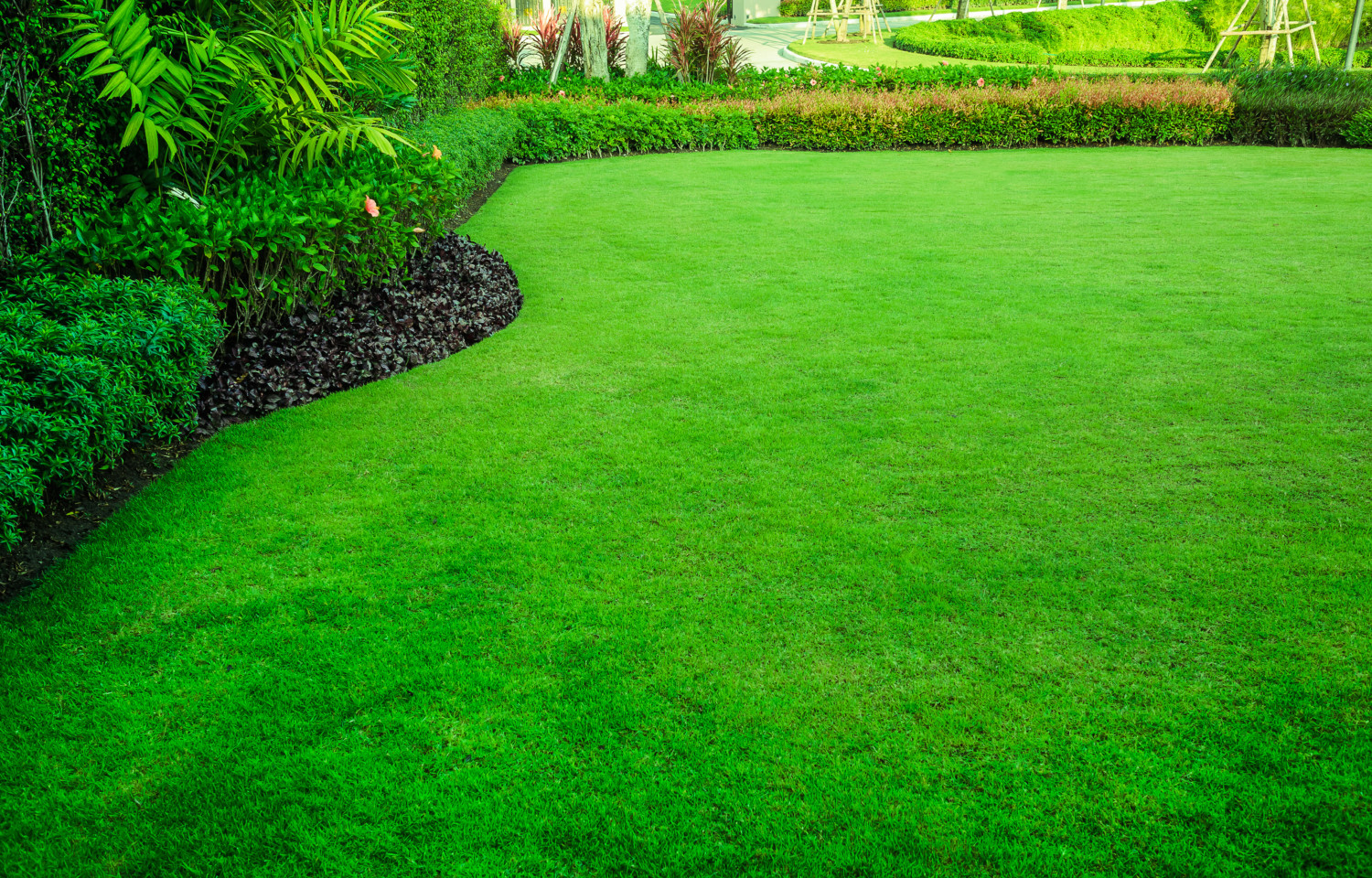 How To Make Grass Green How To Make Grass Green And Lush - Simplemost
