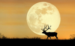 How to see the full buck moon in July