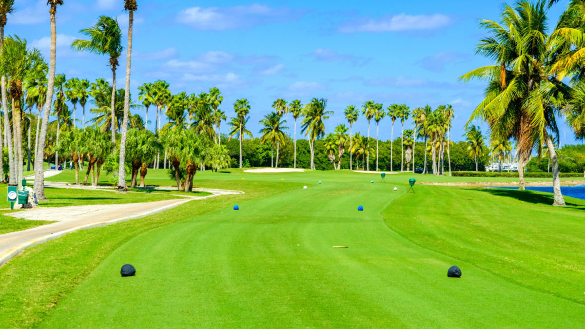 Golf course tee boxes in Florida with palm trees
