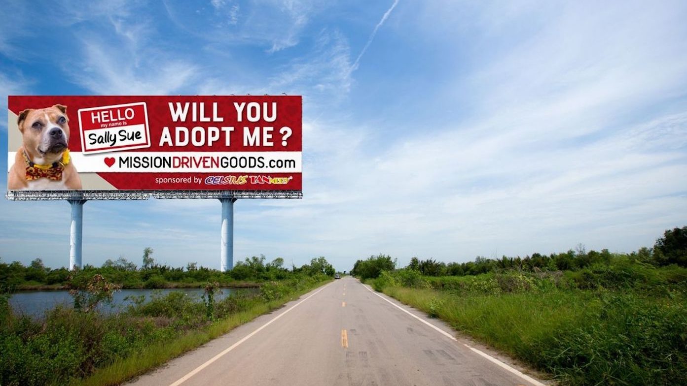 Mission Driven billboard for Sally the shelter dog