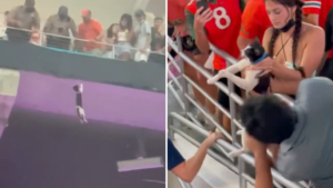 Falling cat rescued by football fans at stadium in Miami