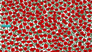 Find crab in poppies puzzle
