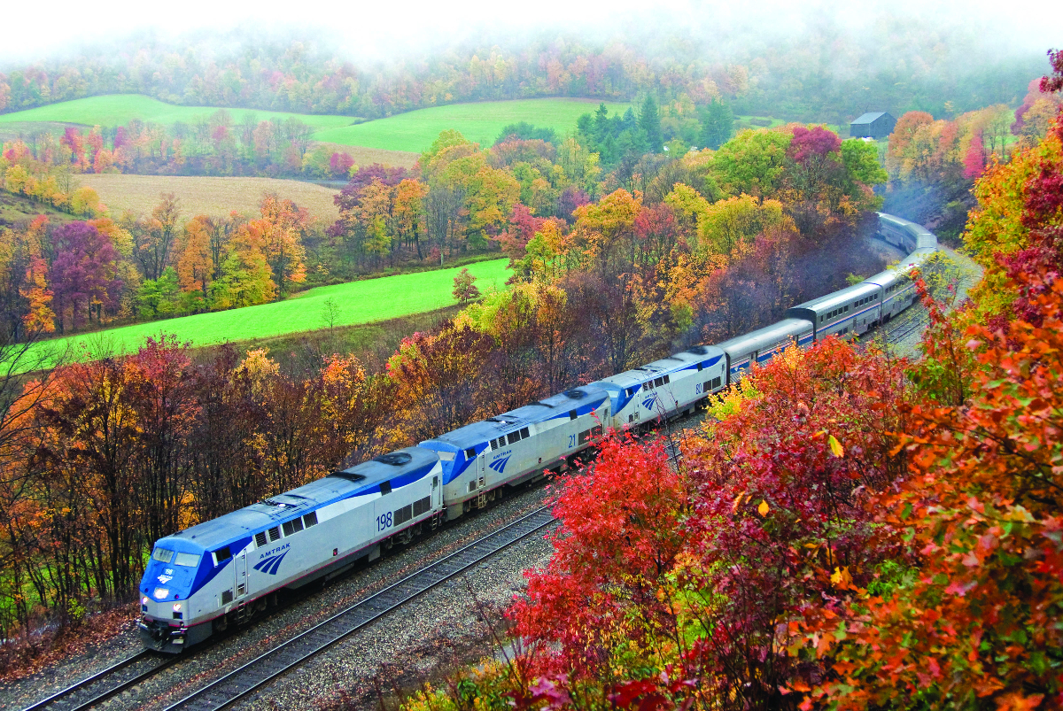 Amtrak train driving through autumn woods