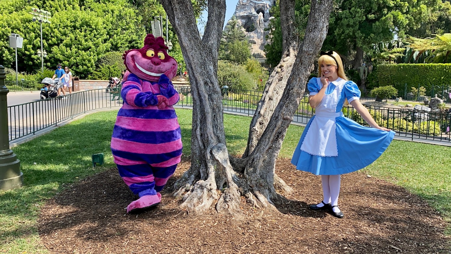 Alice and Cheshire Cat at Disneyland