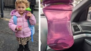 Preschooler smuggles pet fish into school