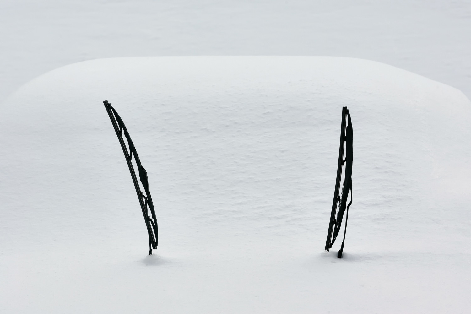 windshield wipers left up in snow
