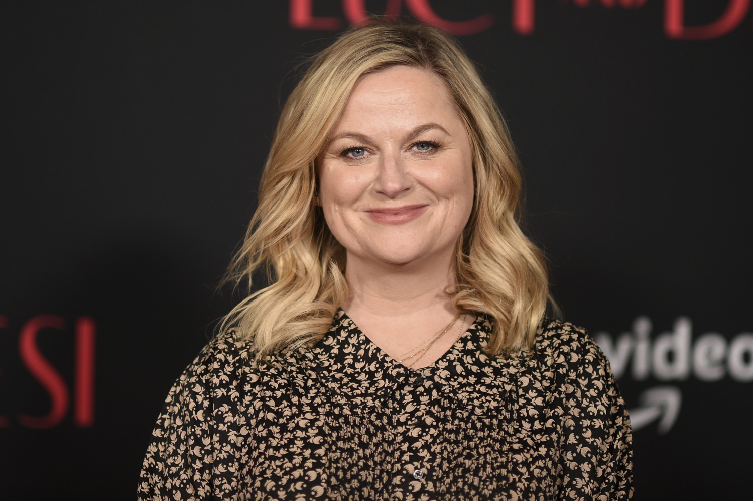 Amy Poehler at premiere of "Lucy & Desi"