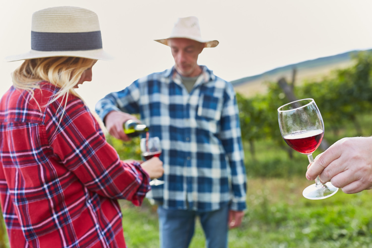 Wine tasting at vineyard