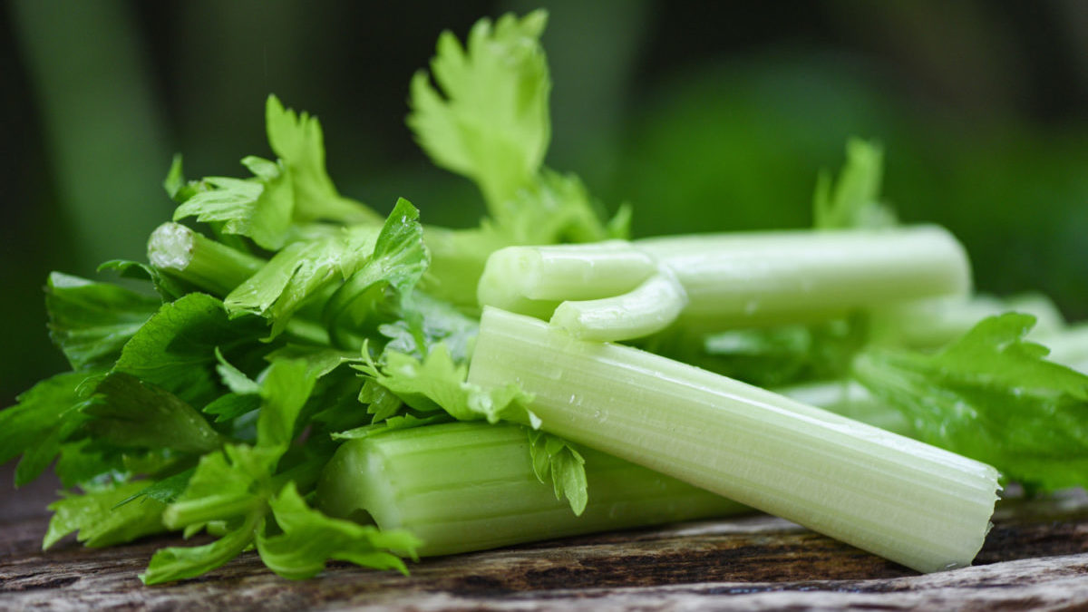 Celery stalks rest on counter